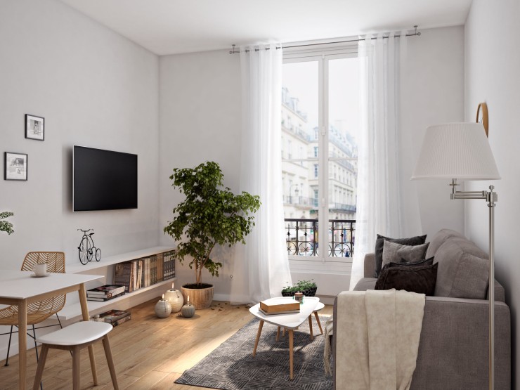 Paris interior livingroom