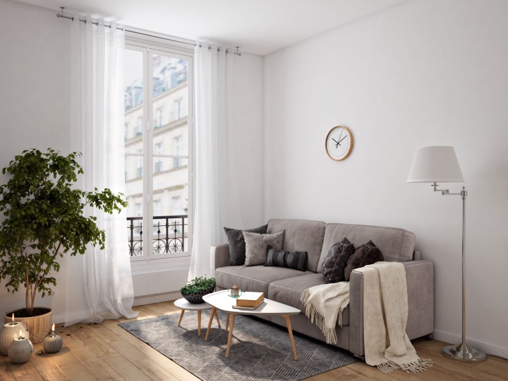 Paris interior livingroom