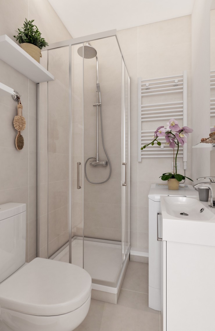 1 bedroom apartment  bathroom