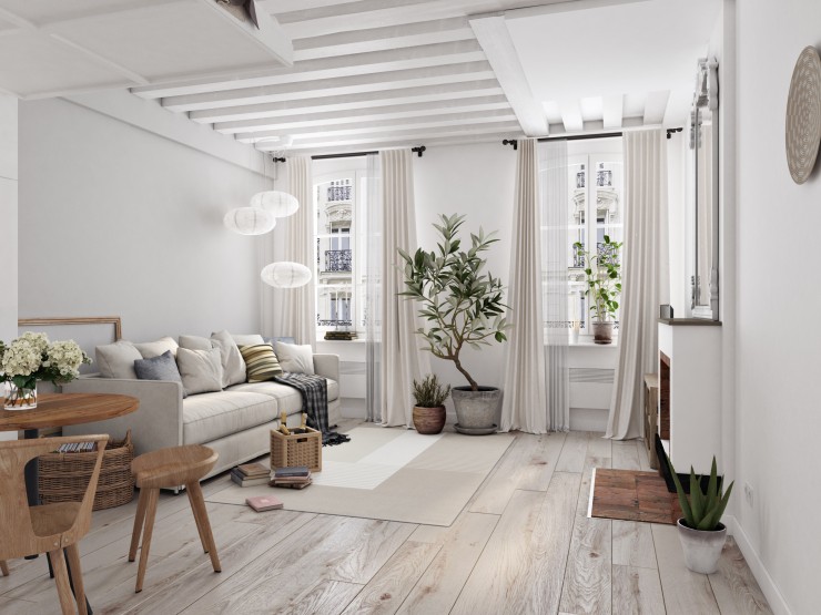 1 bedroom apartment