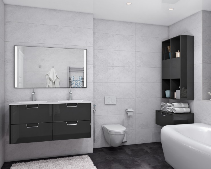 interior design bathroom black and white