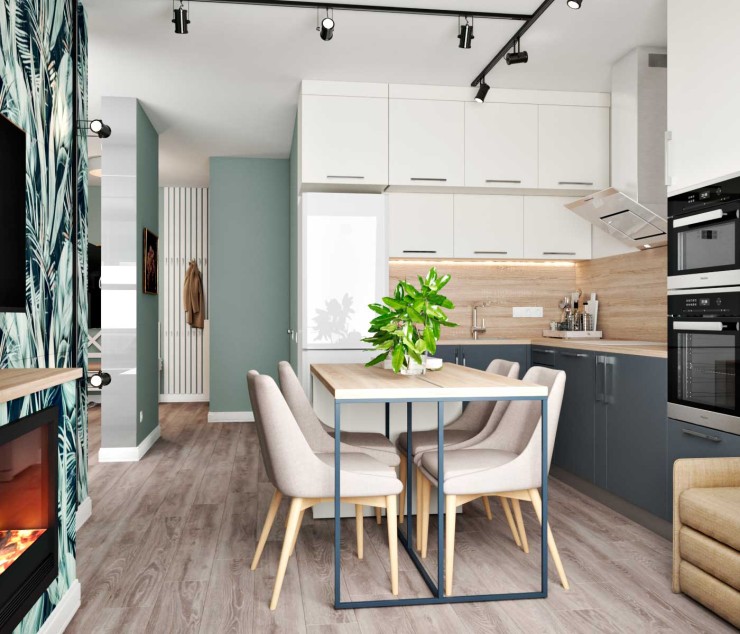 modern apartment kitchen
