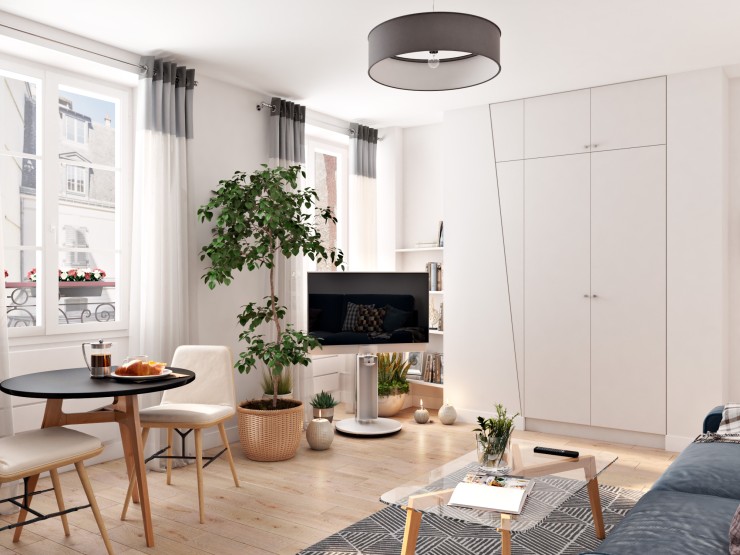 modern apartments living room