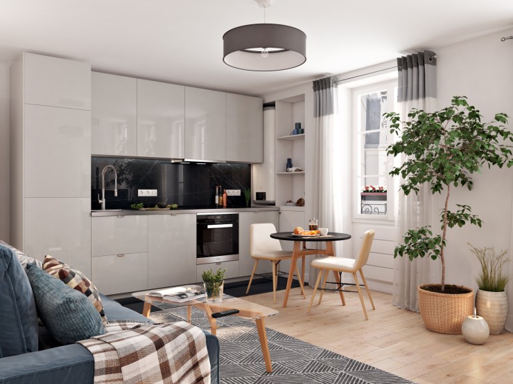 modern apartments living room