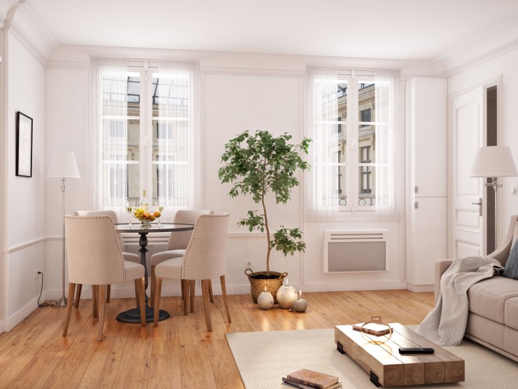 paris apartment for sale