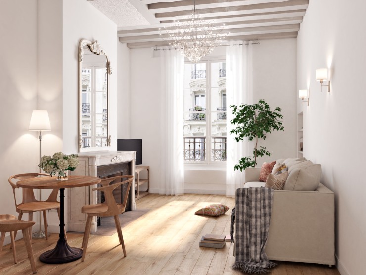 paris apartment for sale
