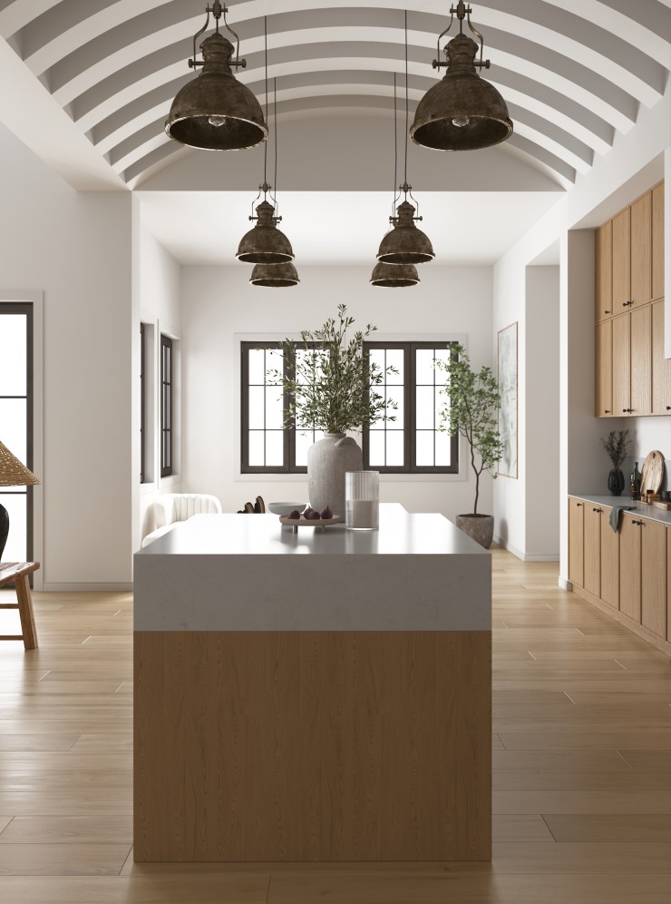 Living room and kitchen in the house